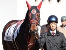 �����2500�žޤϥ��󥰥���ϥ�Ϥȥǥ����ץ���ѥ��Ȥ��������󥰥���ϥ�ϡߥǥ����ץ���ѥ��ȤΥҡ��ȥ���ӡ��Ȥϡ�1-1-2-1��