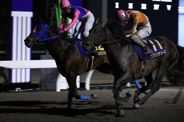 【高知競馬　福永洋一記念　25日発走】ニクソンテソーロに全国レベルの末脚　重賞2勝目へ照準ぴたり