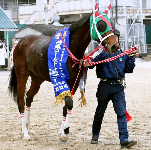 ダートグレードを5勝したラプタスが登録抹消　馬事公苑で乗馬に