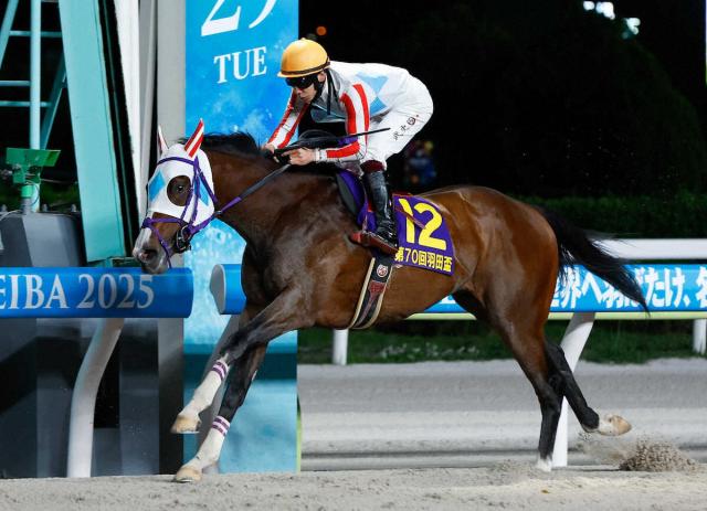 ナチュラルライズ、カナルビーグルなどJRA所属8頭が東京ダービー登録