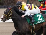  【日本ダービー】西山茂行オーナーが初制覇なるか 京成杯覇者のニシノエージェントで一発狙う