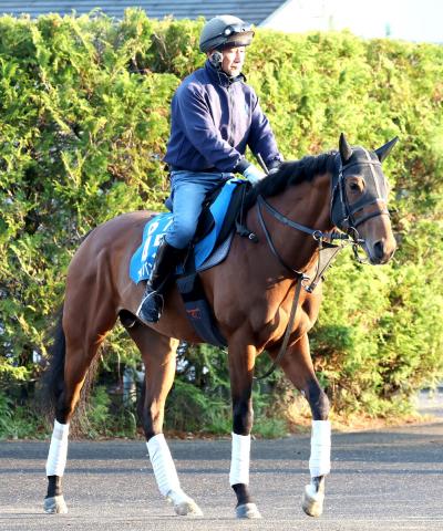 オオバンブルマイが右前浅屈腱炎で長期休養へ　23年に5億円レースを優勝