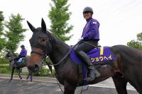  【日本ダービー】ショウヘイ　体はできている　友道師「疲れはない」