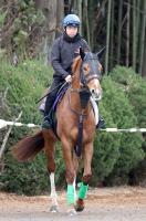  �ڸ��ϡ�������ư���ۿܳ����ˤ˰ܤä��ǥ�ޥ��ȥ����ϥ����S�Ǥ�����������