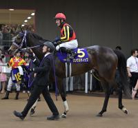  オークス５着のリンクスティップに骨折が判明　全治３カ月　２８日に放牧へ