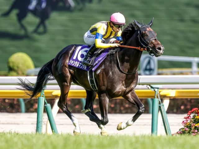 【有力馬動向】ジャンタルマンタルは安田記念へ向けて順調/馬三郎のつぶやき