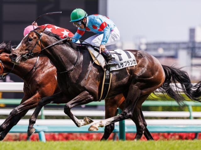 【葉山特別】半兄は名馬イクイノックス ガルサブランカが連勝なるか