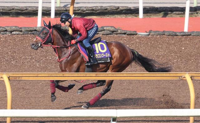【日本ダービー】ドラゴンブースト　下克上へラスト1F11秒8　藤野師「予定通りサラッと」