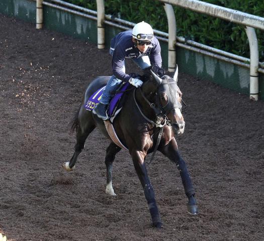 【日本ダービー】リラエンブレム　坂路単走4F53秒5　浜中「気分良く走っていた」