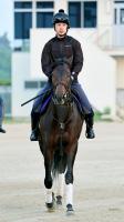  【日本ダービー】皐月賞馬ミュージアムマイルは4枠7番　陣営「極端な内、外でもないし、周りを見ながら運べる」
