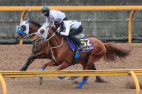  【安田記念1週前追い】ウォーターリヒト　直線ビッシリ　石橋師「予定通りで順調」