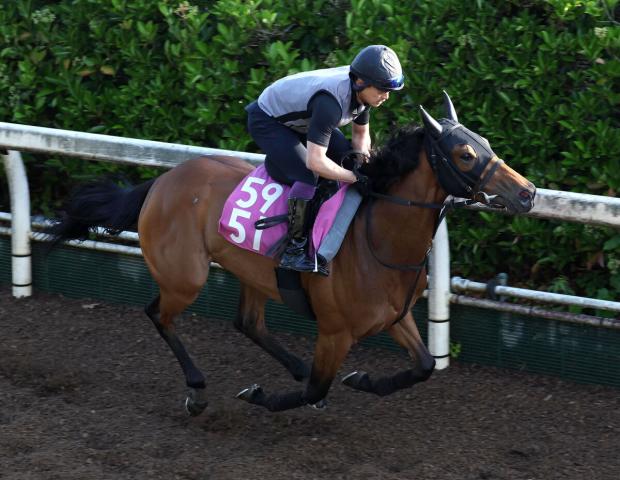 【葵S】今村聖奈騎手騎乗のムイは7枠13番　オープン2勝のポッドベイダーは7枠14番　枠順決定