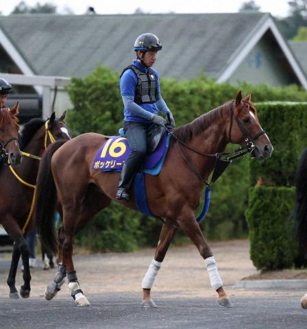 重賞3勝の9歳馬ボッケリーニが引退…北海道浦河町のイーストスタッドで種牡馬入り