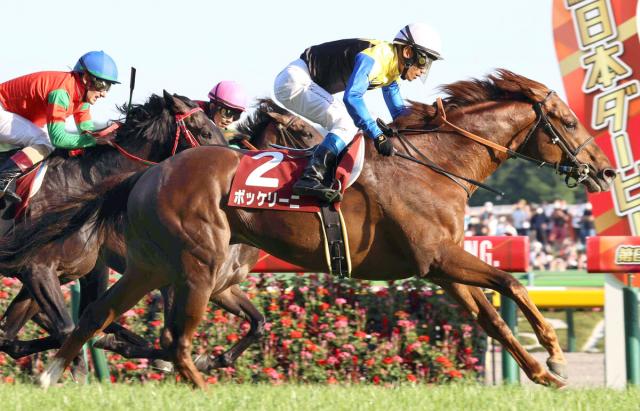 2022年目黒記念など重賞3勝のボッケリーニが引退　イーストスタッドで種牡馬入りへ