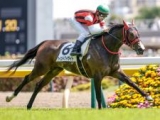  【葵S予想】フレッシュさを失っていないことが重要!? 無傷の三連勝を狙う逸材に立ちはだかる壁とは