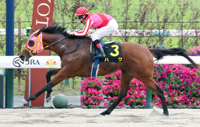 【鳳雛S】5番人気ハグが余裕十分に抜け出す　シュタルケ騎手「これぐらいの距離があった方がいい」