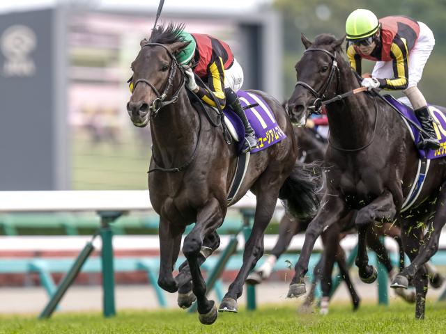 【今日の注目ポイント】競馬の祭典・日本ダービーと目黒記念