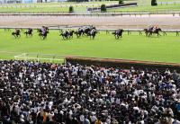  �����ܥ����ӡ��ۥ��������ɤǹ���Ⱦ��Υ������ˡ֤�ä��㤦�ޤ��ס������äää��סְ��괶�ͤ��ץͥå�ʨ��