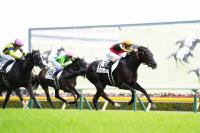  �����ܥ����ӡ��ۥ�����ǥ�Ρ���V!������ޤ��㿫�̤���7950Ƭ��ĺ���ˡ���¼ͧ�쵳��Ͻ�����