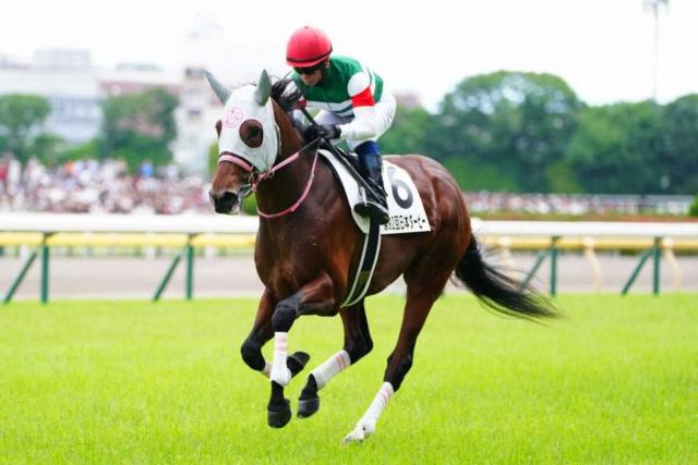 【日本ダービー】4番人気ファンダムまさかの14着に沈む　辻師「序盤リラックスできればもう少し…」