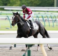  【日本ダービー】エリキングは後方から最速の上がりで追い上げ5着　川田将雅騎手「次につながるいいレース」