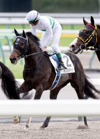 【日本ダービー】緩い馬場に苦しんだ6番人気ショウヘイは3着　ルメール騎手「秋が楽しみ」