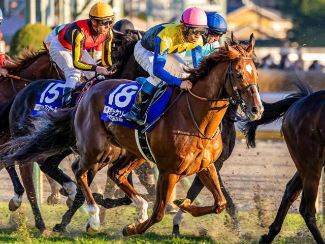 【先週のJRA抹消馬】重賞3勝馬ボッケリーニ、ダート中距離で活躍のバハルダールなど