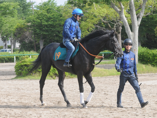 祖母は独オークス馬 ゾロアストロが東の一番星を狙う/関東馬メイクデビュー情報