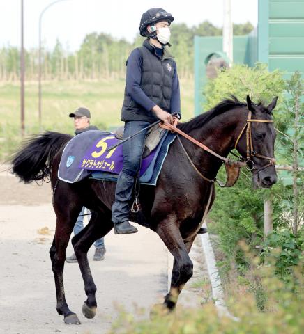 【安田記念】サクラトゥジュールはレーン騎手とのコンビでG1初挑戦「以前と比べて成長感じる」