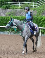  【安田記念】マッドクールはマイルへの距離延長で復権へ　池添調教師「阪神Cの内容からして距離はもっていい」