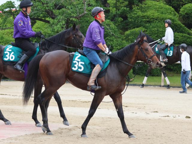 ジョーカーなど、先週の入厩情報/栗東トレセンニュース