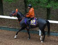  【安田記念】ジャンタルマンタル　仕上がり太鼓判　高野師「戦う馬という感じ」