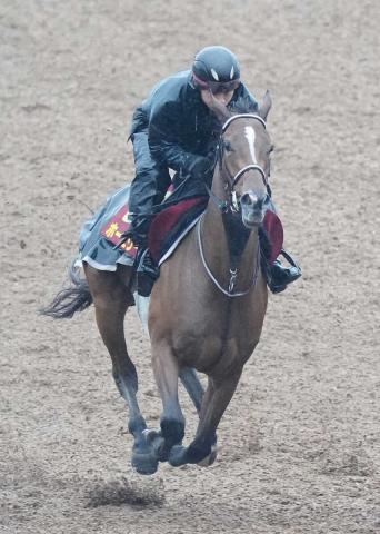 目黒記念2着ホーエリート　秋に備えて放牧でリフレッシュ