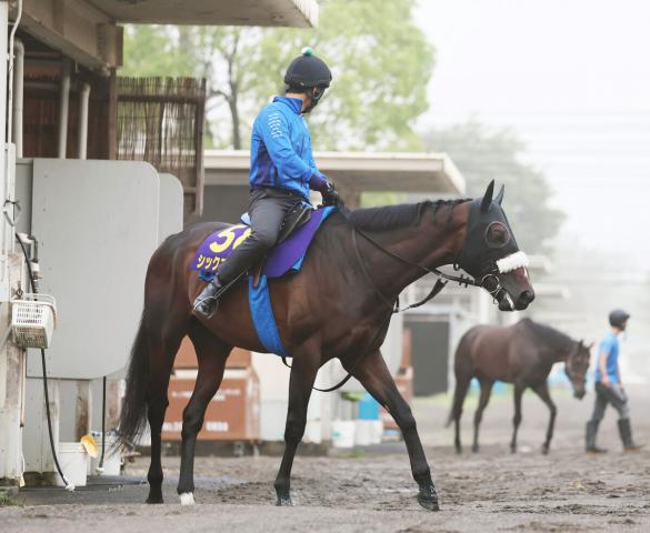 【注目馬動向】シックスペンスは仏G1ジャックルマロワ賞に登録予定　98年にタイキシャトルが勝利