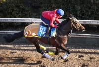  ��������ư���ۥ����ȥ��ե������Ȥ�ʩG1�Υ���å���ޥ����ĩ�1998ǯ�˥���������ȥ뾡����G1