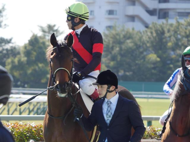 全兄は安田記念出走のガイアフォース ジョワイユノエルが初勝利なるか
