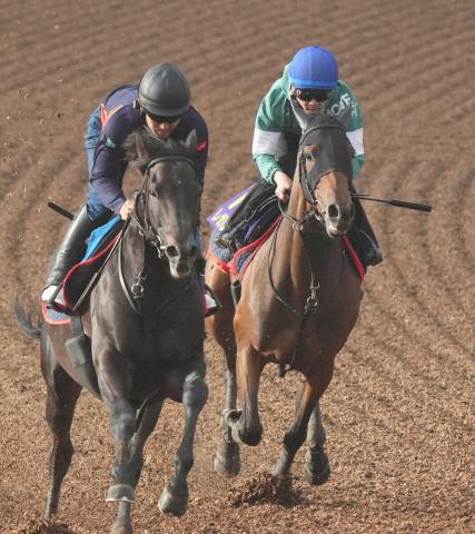 【宝塚記念1週前追い】レガレイラ　馬なりで好感触　戸崎「できれば良馬場がいいかな」