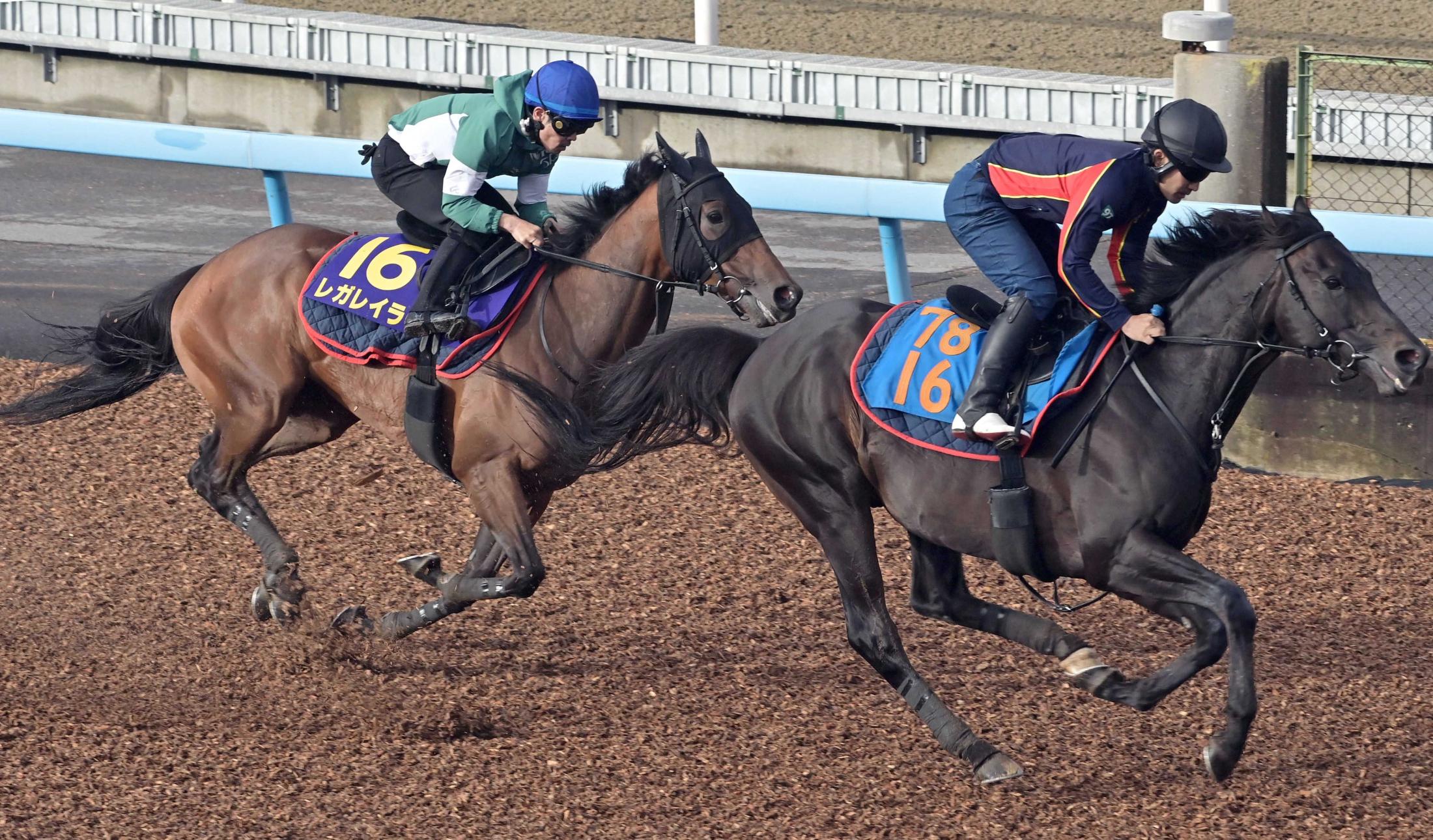 【宝塚記念】レガレイラ　今年初戦へ準備着々　戸崎圭「久しぶりというのを感じさせない動き」　阪神舞台も歓迎