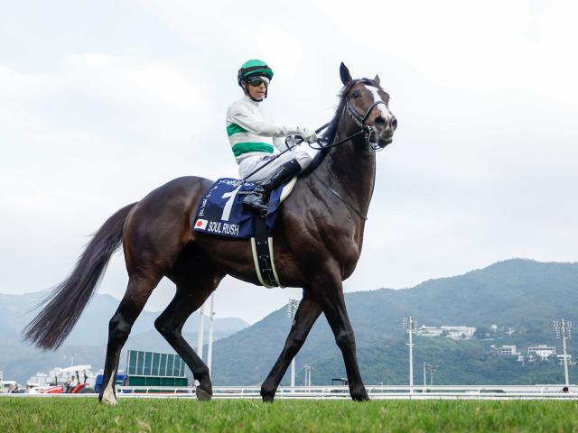 【安田記念出走馬・騎手確定】ソウルラッシュ＆浜中俊騎手、ジャンタルマンタル＆川田将雅騎手など18頭