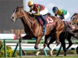  【有力馬動向】宝塚記念へローシャムパークが栗東で猛時計 一変可能な雰囲気あり/馬三郎のつぶやき