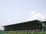  【東京5R新馬戦結果】東の一番星はスワーヴリチャード産駒ディバインウインド