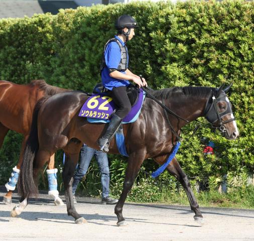 【安田記念】前売りオッズはソウルラッシュが3・8倍で単勝1番人気　5頭が10倍以下の混戦