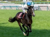  【安田記念・馬体重】ソウルラッシュは512kg、ジャンタルマンタルは498kg(-5)