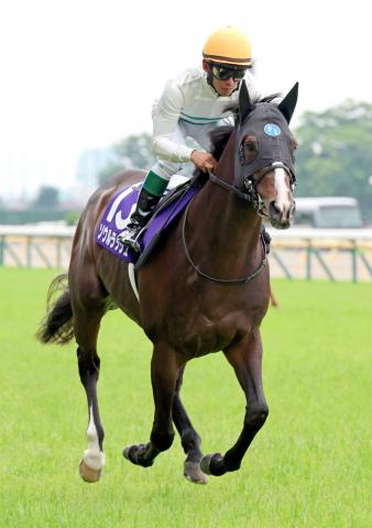 【安田記念】昨年の最優秀マイラー4年連続出走も勝利ならず　1番人気ソウルラッシュ3着　浜中俊騎手「残念」