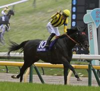  ������̦��Ĵ���ա����Ӥλ����۵٤������Ǥ��ζ���������󥿥�ޥ󥿥봰�����ä����ޥ��������Ϥ����Ϥ��濴�Ȥʤ�