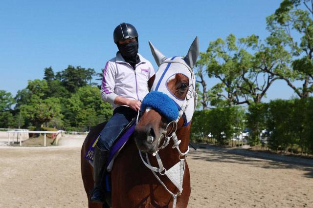 【宝塚記念】メイショウタバル　自分との闘いに　陣営「海外遠征を経験したことで精神面が成長」