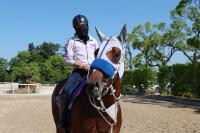  【宝塚記念】メイショウタバル　自分との闘いに　陣営「海外遠征を経験したことで精神面が成長」