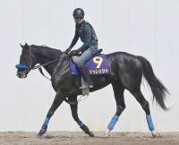  【宝塚記念】ドゥレッツァ・ベラジオオペラ・ロードデルレイ　充実ぶりが際立つ５歳勢　３頭がＶデータ全てクリア