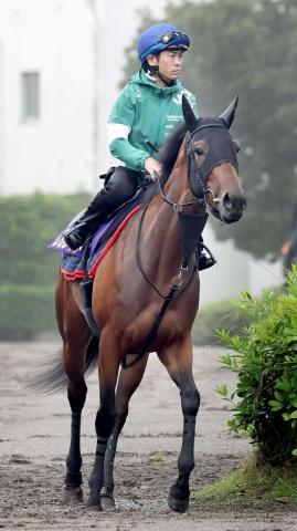 【宝塚記念】有馬V以来のレガレイラ、半年ぶりでもGPの主役譲らん!1週前騎乗の戸崎騎手「久々を感じさせない動き」