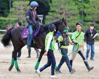  【宝塚記念】ジャスティンパレスは雨が気がかりも杉山晴調教師「2年前に3着にきている舞台ですから」